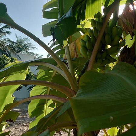 Case Traditionnelle Diola Au Bord De L'Ocean 斯基灵角 外观 照片